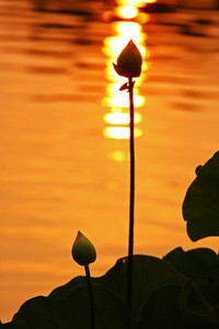 煤球兄弟再战中超，冲击积分榜前四位