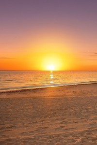 荷兰无缘欧国联四强，遗憾离场