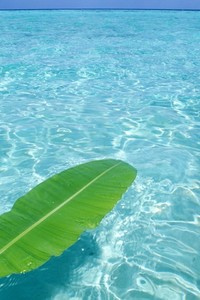 足球热潮席卷全国，球迷热情高涨