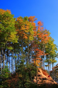 国内足球赛事精彩纷呈，势必掀起狂潮