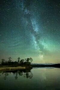 布莱顿主场平局，保级形势仍不明朗：球队未来的抉择与挑战