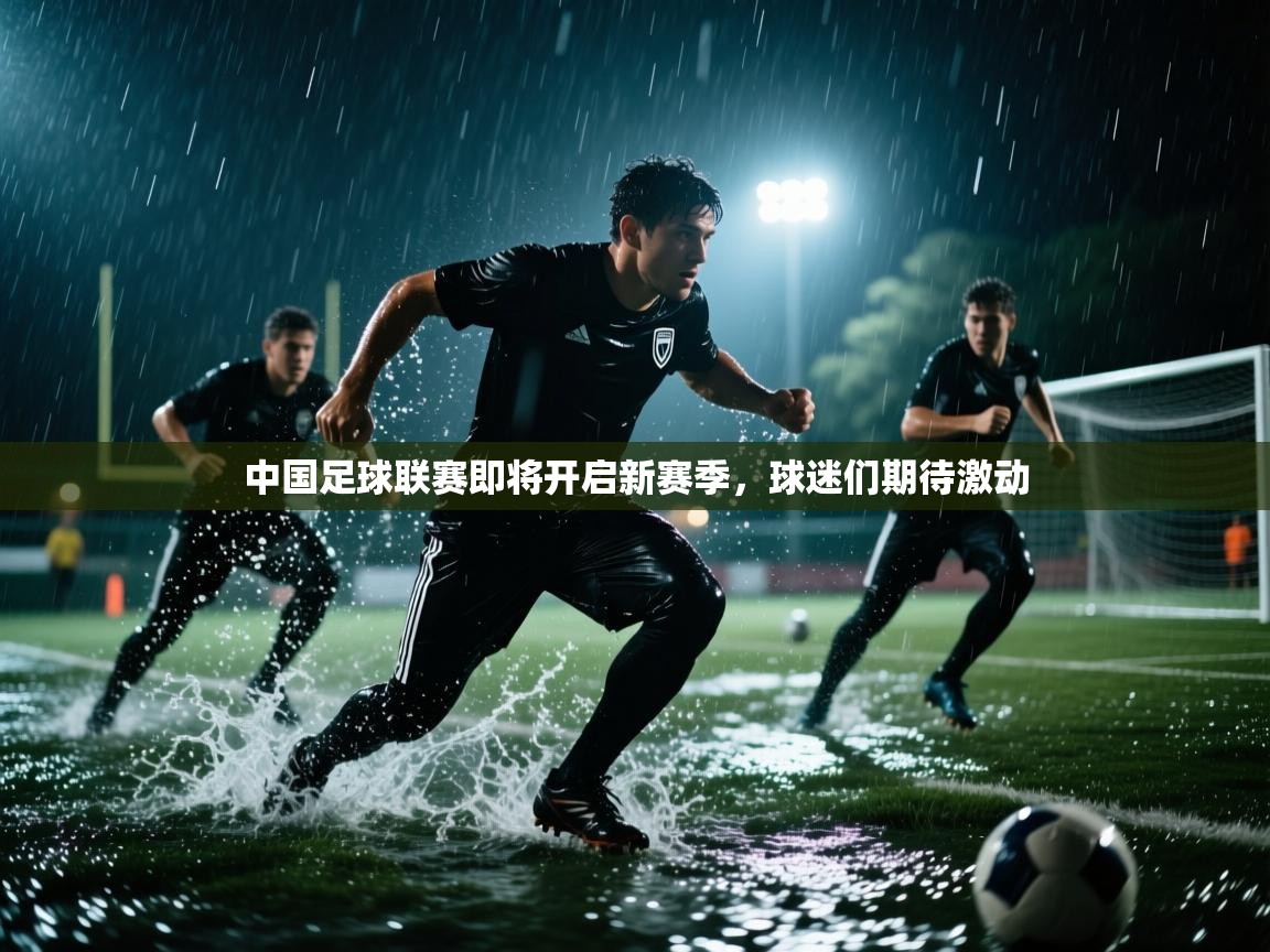 中国足球联赛即将开启新赛季，球迷们期待激动